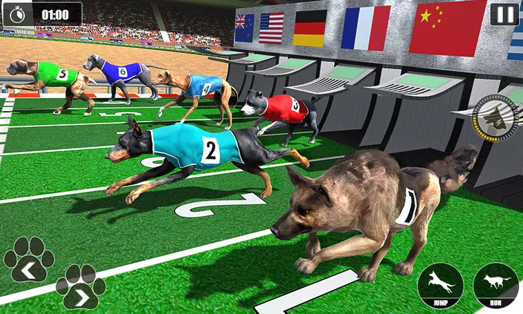Bí Quyết Chơi Game Nhanh Đua Chó B52 Club Từ Chuyên Gia